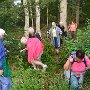 2a-passage-fosse-en-foret-de-Jouy